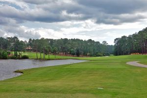 CC Of NC (Dogwood) 18th